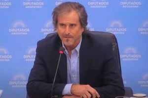 La declaraciones del diputado del oficialismo en medio del debate en comisiones.
