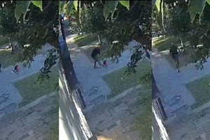 A lo lejos se ve la herramienta de jardinería sobre el pasto y un masculino cuyos rasgos no se alcanzan a divisar que se acerca en silencio. Crédito: El Litoral