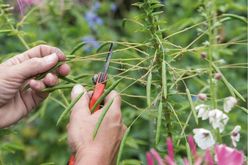 Alumnos de tres provincias participaron de un evento único a nivel regional y que este 2024 vendrá con importantes novedades. Foto: EL LITORAL