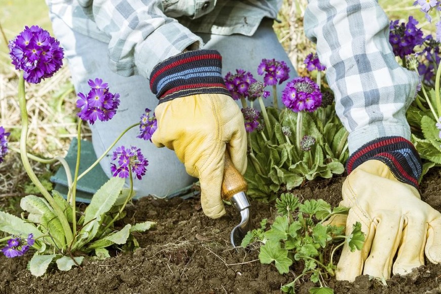Alumnos de tres provincias participaron de un evento único a nivel regional y que este 2024 vendrá con importantes novedades. Foto: EL LITORAL