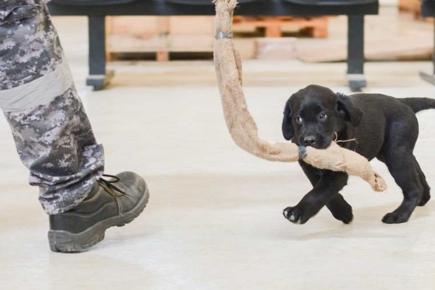 Parte de los entrenamientos.