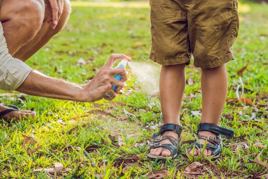 La Sociedad Argentina de Pediatría brindo recomendaciones sobre el uso seguro de repelentes.