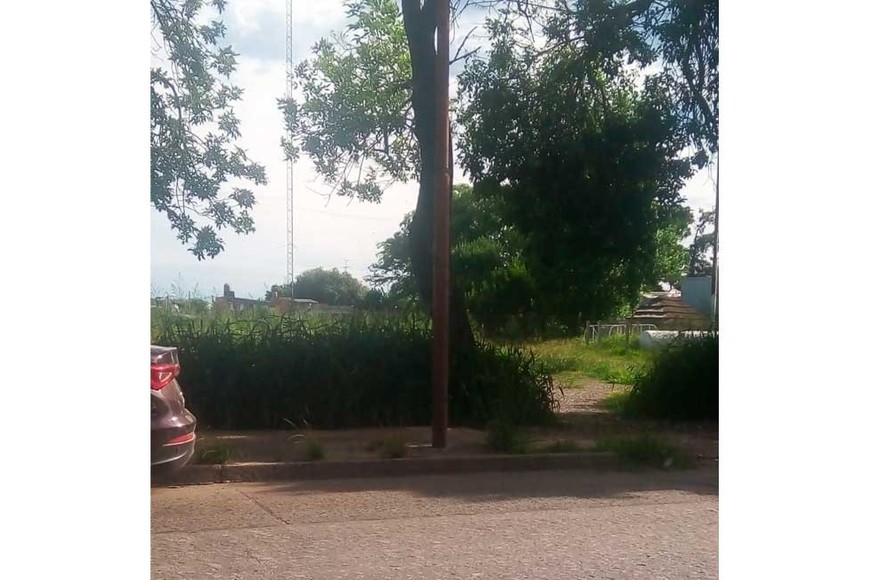 En la zona de la Esquina Encendida, los yuyos molestan a quienes caminan por las veredas, según advierten los vecinos.