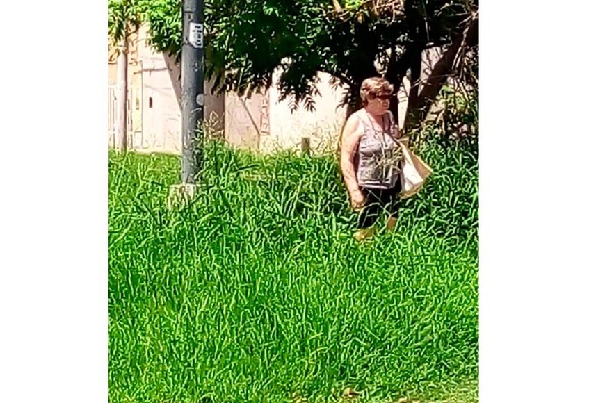 Los vecinos advierten por lo imposible de transitar entre los yuyos y malezas.