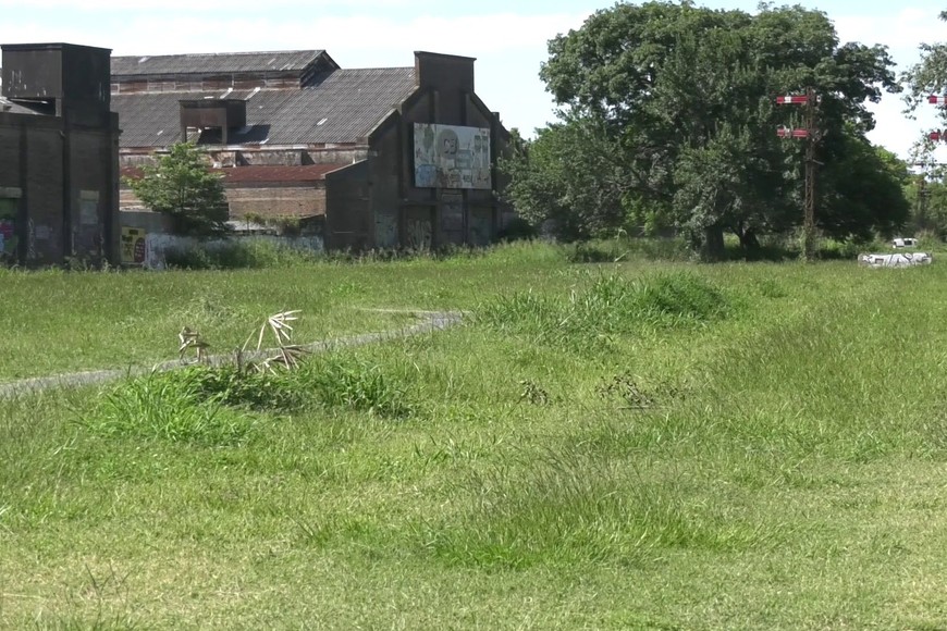 quejas barrio siete jefes