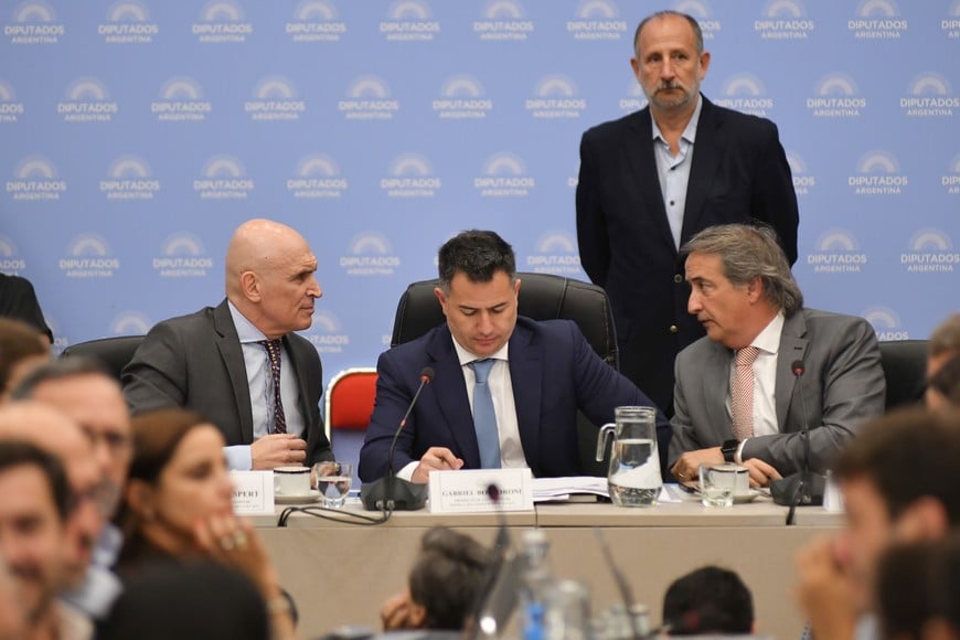 plenario comisiones diputados na