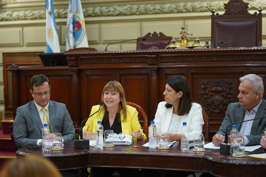 "Entendemos que no nos deben reducir", remarcó en varias ocasiones la defensora Estrella Moreno Robinson en el recinto legislativo.