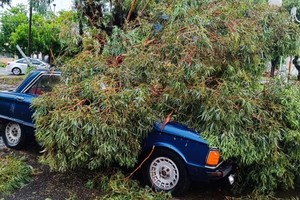 Parte de los destrozos en Miramar por la tormenta. Crédito: NA @nachomelucci