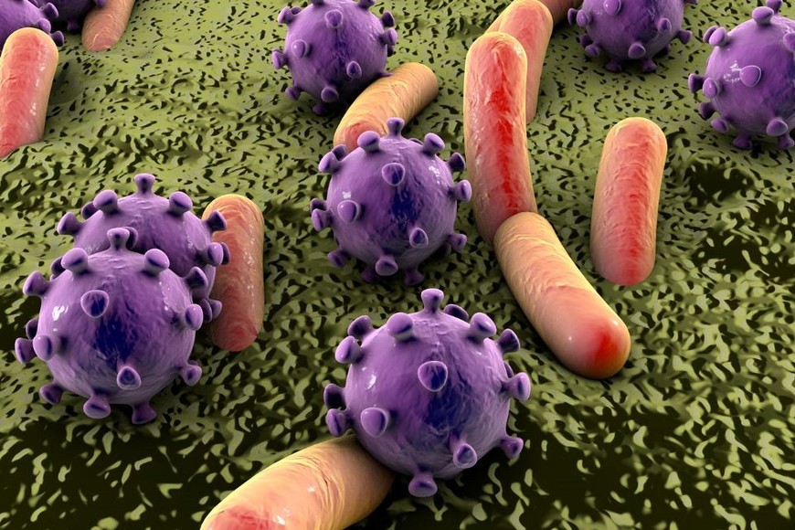 Los síntomas más frecuentes de la angina son: fiebre, dolor de garganta o al tragar, y agrandamiento de ganglios del cuello.