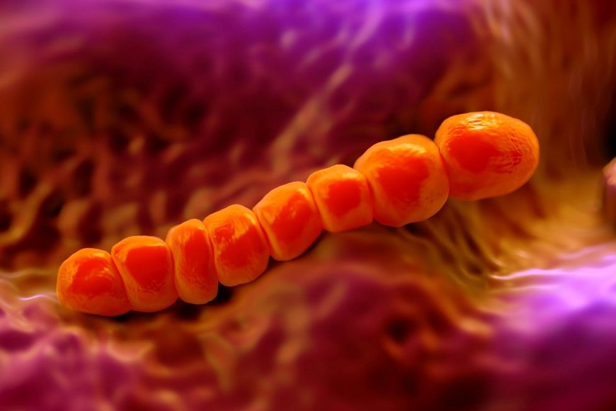 El  adolescente falleció a causa de un shock séptico por "streptococcus pyogenes"