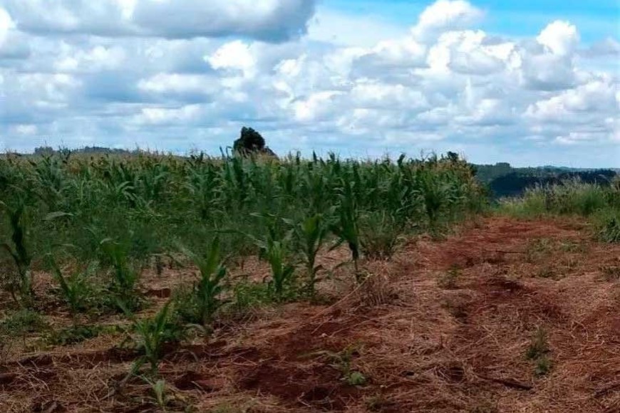 La niña era intensamente buscada desde el viernes.