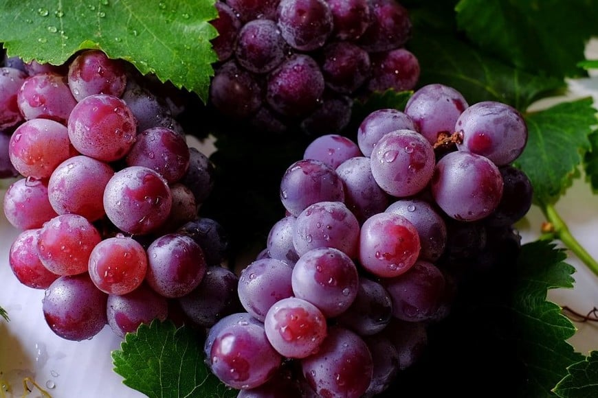 Las uvas son ricas en fibra, vitaminas C y K,