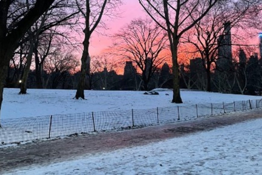 Central Park, Nueva York, 18 de enero de 2024. Foto: @UrviShahMD