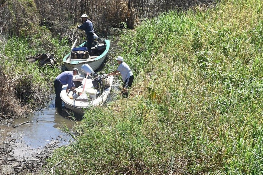 La vegetación acuática que obstruye el riacho complica la labor diaria que realizan pescadores de la zona. Foto: Guillermo Di Salvatore