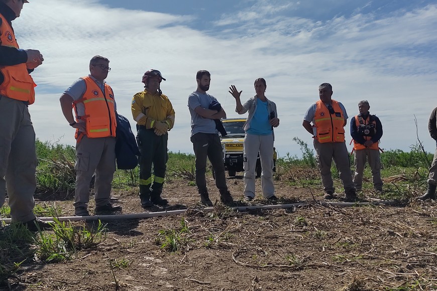 Si bien la problemática de los incendios estuvo casi siempre circunscripta a los ecosistemas boscosos del centro y sur de nuestro país, desde el 2004 comenzó a estar vinculada al estudio de los ecosistemas de humedales.