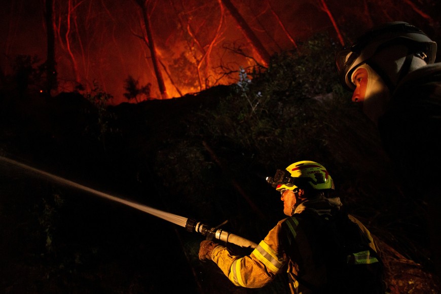 Firefighters work to extinguish a forest fire on a hill in Bogota, Colombia January 24, 2024. REUTERS/Antonio Cascio