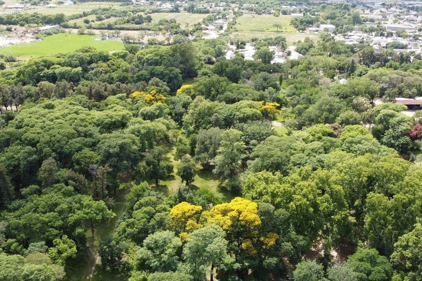 Foto: Fernando Nicola