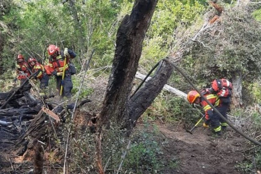 Se cree que el incendio fue intencional.