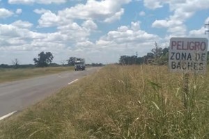 Las malezas ganan terreno a ambos lados de la traza vial.