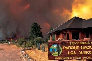 Las llamas superaron los límites del parque y afectan a parte de la provincia de Chubut.