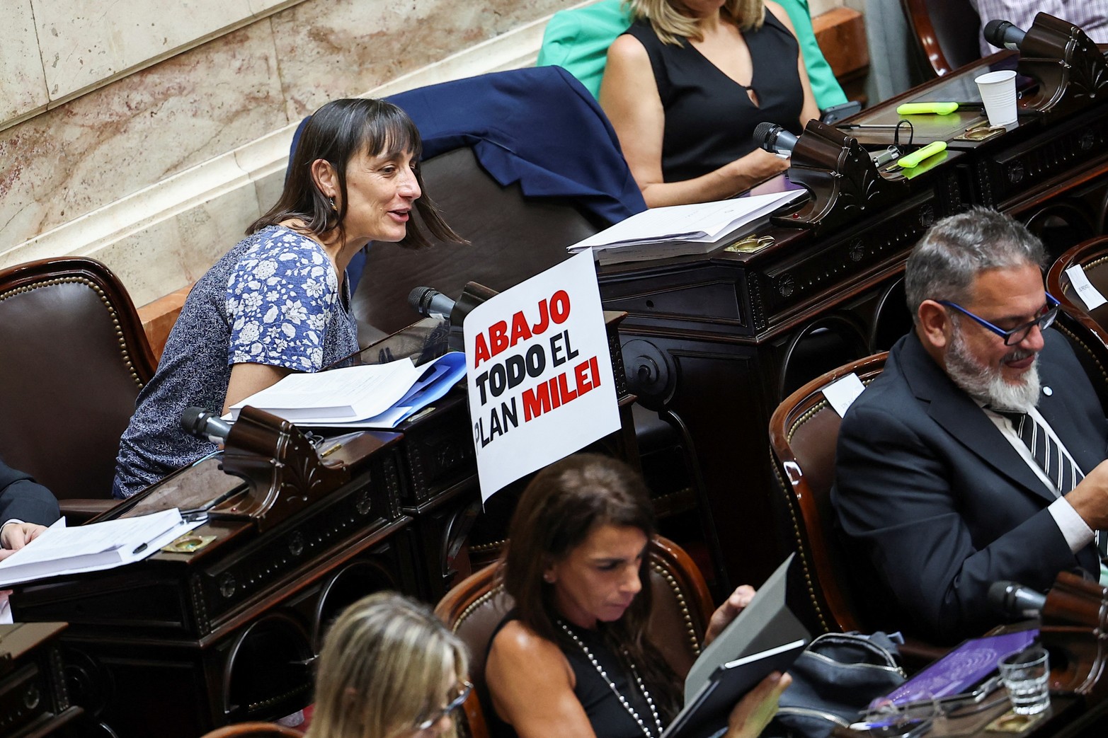 La diputada Romina del Pla con un cartel en un su banca.