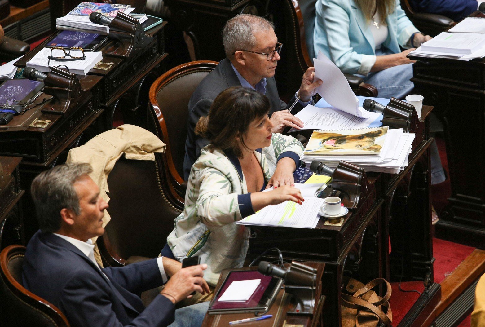 La diputado por Entre Ríos Carolina Gallard acusó al Presidente de la Cámara Martín Menem de no cumplir con la creación de la Comisión Bicameral. 