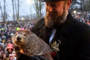 Más de 30.000 personas pasaron una noche de juerga esperando el amanecer y la salida de la marmota de su guarida de invierno.