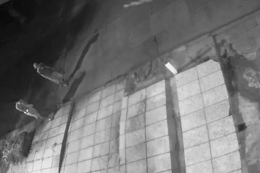 Las cámaras de vecinos tomaron imágenes de los ladrones que robaron caños de gas.