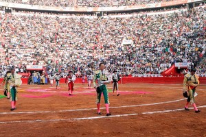 La actividad, resistida por algunos sectores, volverá a desarrollarse en el DF.