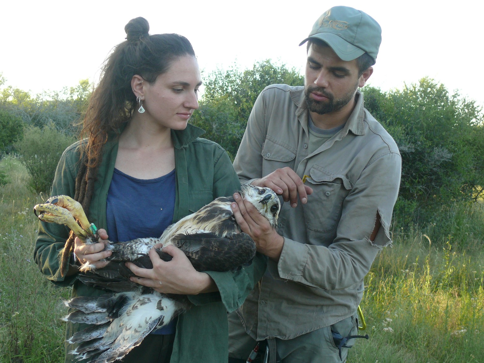Santa Fe podría ser la primera provincia argentina en implementar un programa oficial para preservar la especie. Créditos: Mauricio Rossanigo
