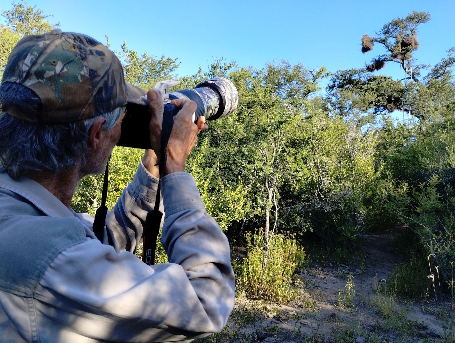 El norte provincial se consolidó como una de las principales zonas de estudio de esta especie. Créditos: Mauricio Rossanigo