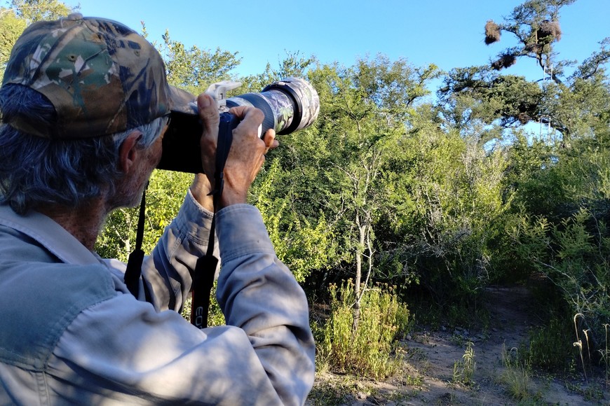 El norte provincial se consolidó como una de las principales zonas de estudio de esta especie. Créditos: Mauricio Rossanigo