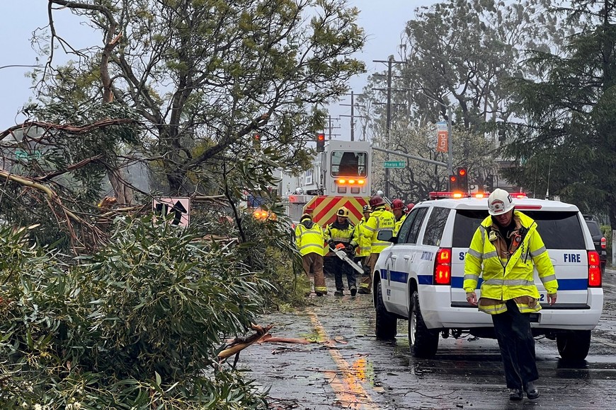 Santa Barbara County firefighters assist city officials to clear a tree blocking Storke Road as the second "Pineapple Express" weather system, or atmospheric river storm, to hit the state in the past week arrived in Goleta, California, U.S. February 4, 2024.  Scott Safechuck/Santa Barbara County Fire/Handout via REUTERS 
THIS IMAGE HAS BEEN SUPPLIED BY A THIRD PARTY