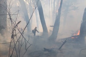 Intensos trabajos se llevan a cabo en las provincias de Río Negro y Chubut para controlar los incendios forestales en el parque nacional Nahuel Huapi y Los Alerces. 