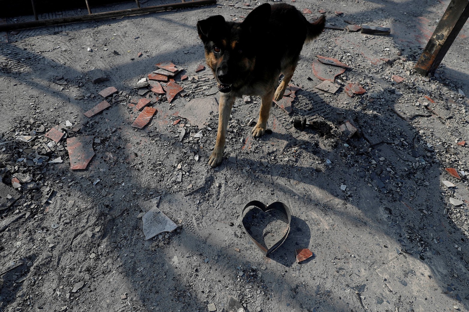 Las imágenes que deja el feroz incendio en la región de Valparaiso.