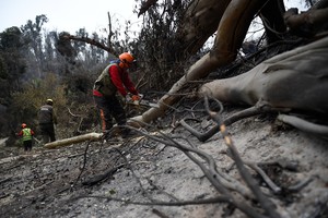 Los bomberos pudieron extinguir el fuego en Chile.