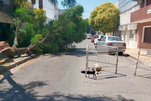 Vecinos de la cuadra se vieron sorprendidos por lo ocurrido este miércoles a la mañana.