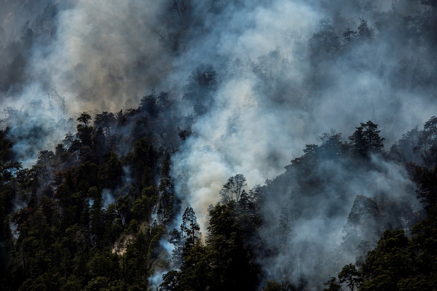 El fuego se originó cerca de la orilla. Crédito: Alejandra Bartoliche / Télam