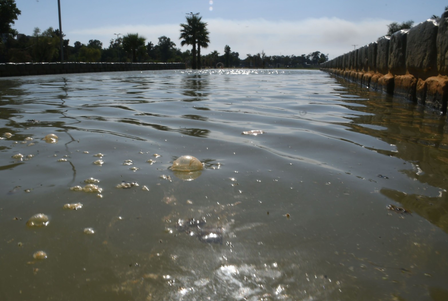 Un sector de los piletones del Parque del Sur quedó inhabilitado. Se trata de una de las piletas donde el agua no se renueva y se encuentra en malas condiciones. Para los guardavidas es una medida difícil de controlar porque los bañistas ingresan igual. El parque tampoco cuenta con baños habilitados.