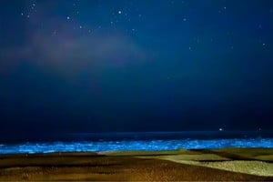 Así lucían las "luces" celestes. Crédito: @The_View_Of_Leo