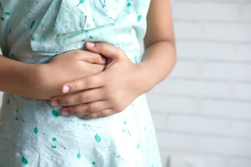 Las medidas preventivas son fundamentales, especialmente en épocas de calor.