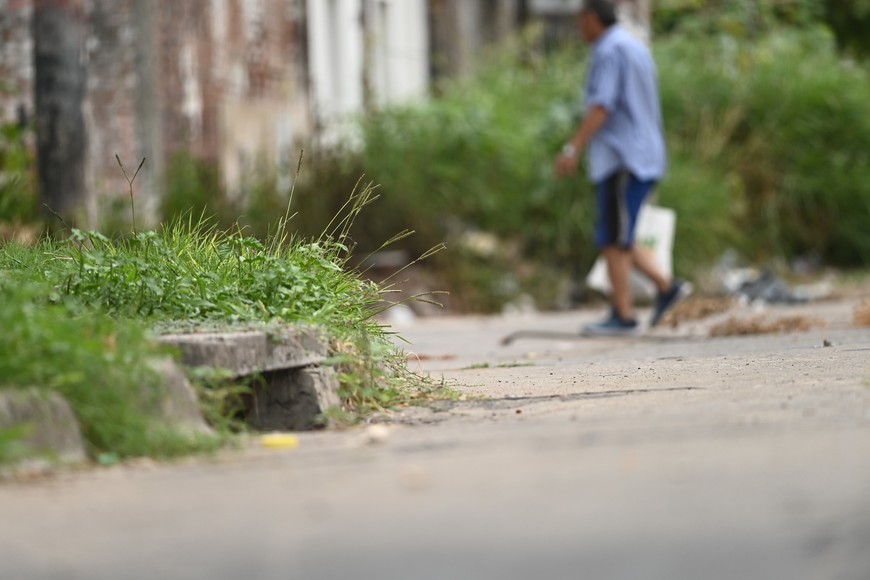 Muchas esquinas del barrio tienen malezas que superan la altura de un adulto. Foto: Mauricio Garín.