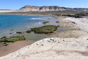 Los restos fueron encontrados en una playa a 16 kilómetros de Puerto Madryn.