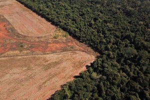 Una vista aérea muestra la deforestación cerca de un bosque en la frontera entre la Amazonia y el Cerrado en Nova Xavantina, estado de Mato Grosso, Brasil. Archivo Reuters.