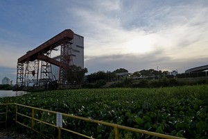 Imagen ilustrativa. Crédito: Pablo Aguirre