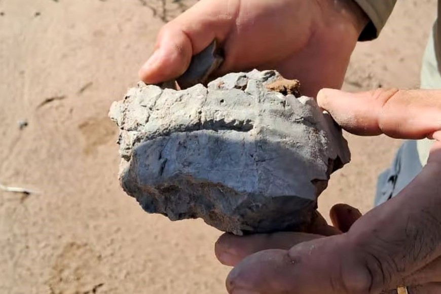 Los “tesoros” hallados en Villa Cañás