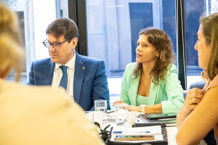 legislatura mahmud educacion goity