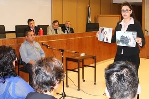 En Argentina, diez provincias ya aprobaron una ley que regula esta clase de juicios: Córdoba, Buenos Aires, Neuquén, San Juan, Chaco, Mendoza, Río Negro, Entre Ríos, Chubut y Catamarca. Además, CABA se sumó a este sistema en 2021.