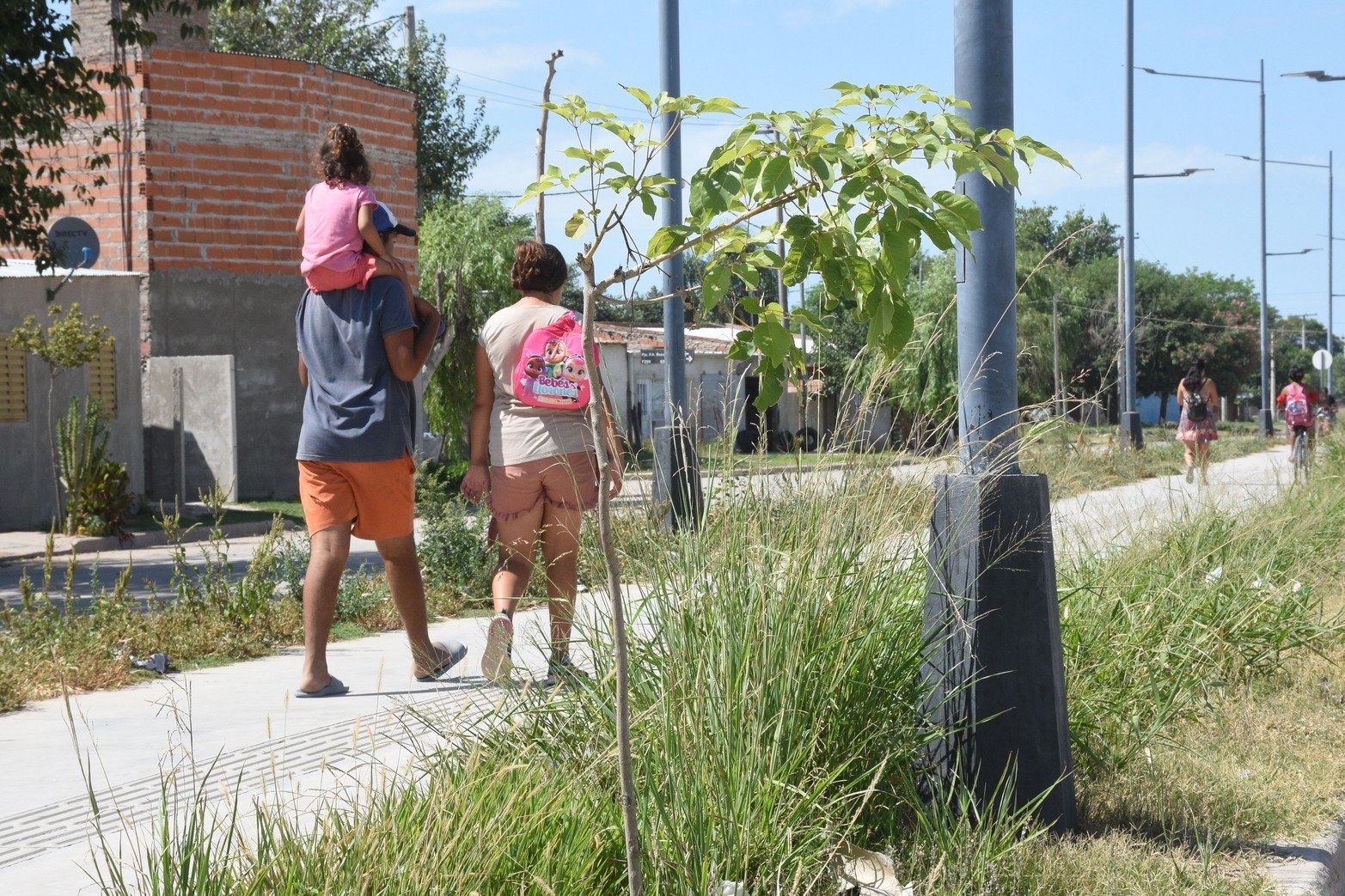 Microbasurales y yuyos altos en el camino viejo barrio Los Troncos