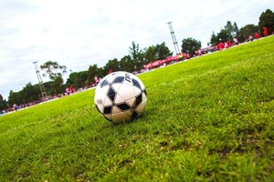 La medida se tomó ante la falta de garantías en cuanto a la seguridad en los estadios.